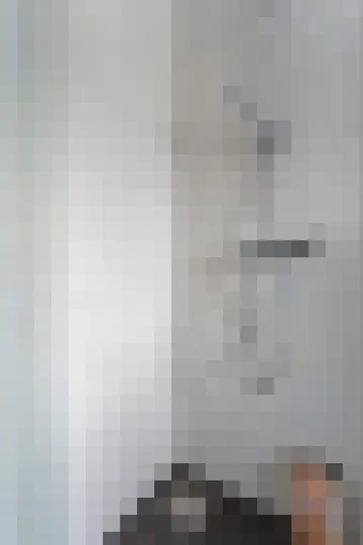 Weenerwerf 11 Dedemsvaart thumbnail 65