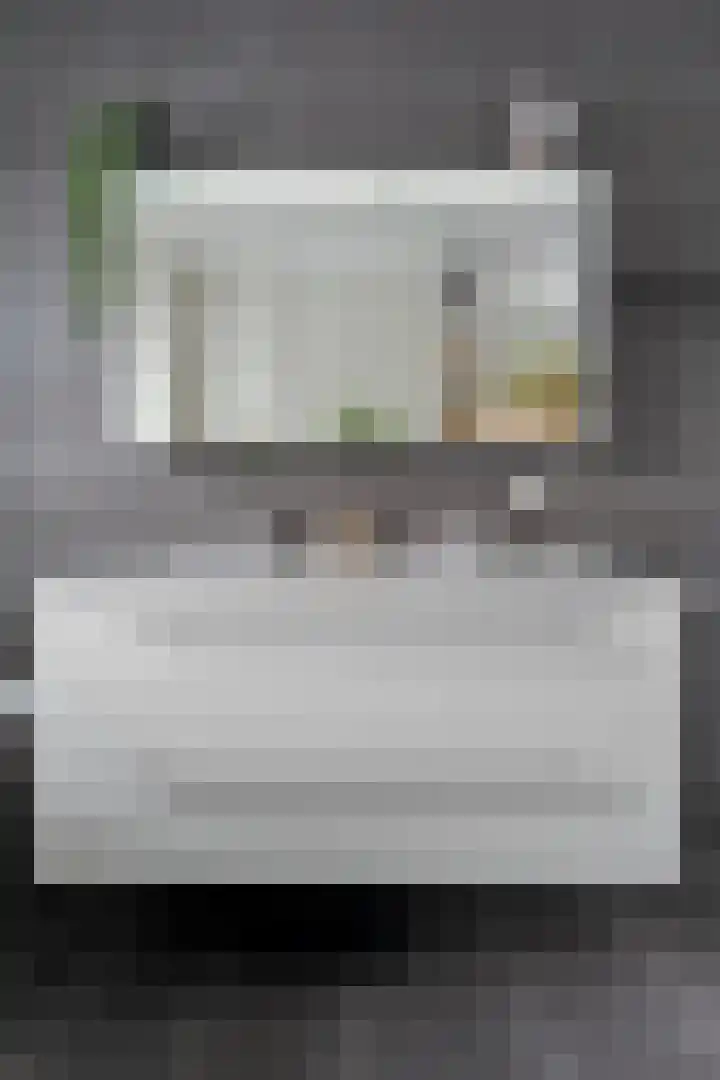 Weenerwerf 11 Dedemsvaart thumbnail 66