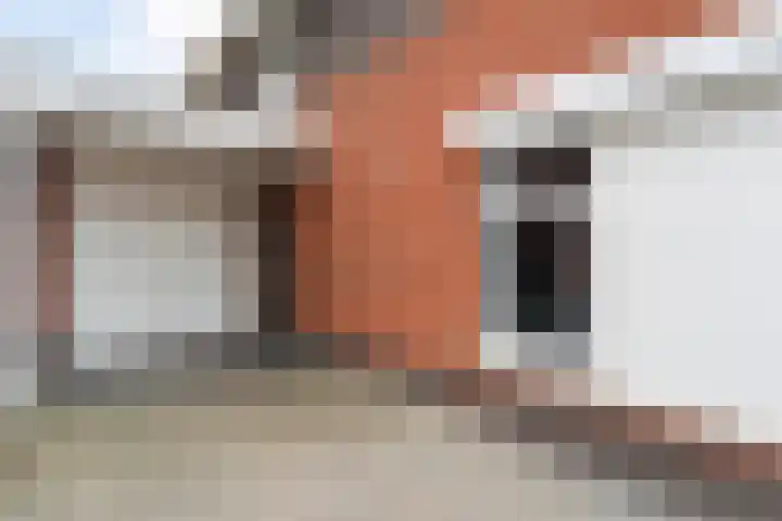 Weenerwerf 11 Dedemsvaart thumbnail 7