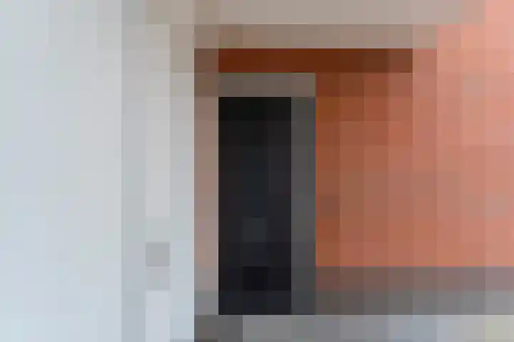 Weenerwerf 11 Dedemsvaart thumbnail 8