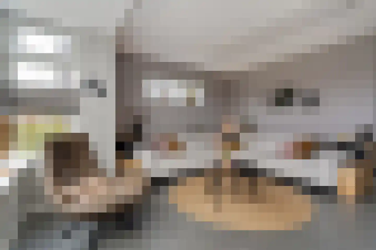 Weenerwerf 28 Dedemsvaart thumbnail 12