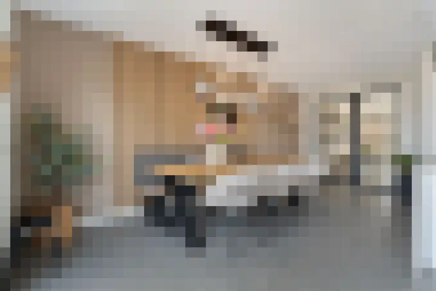 Weenerwerf 28 Dedemsvaart thumbnail 16