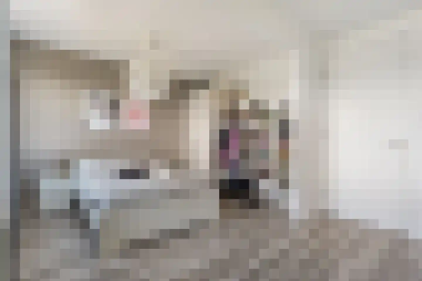 Weenerwerf 28 Dedemsvaart thumbnail 29