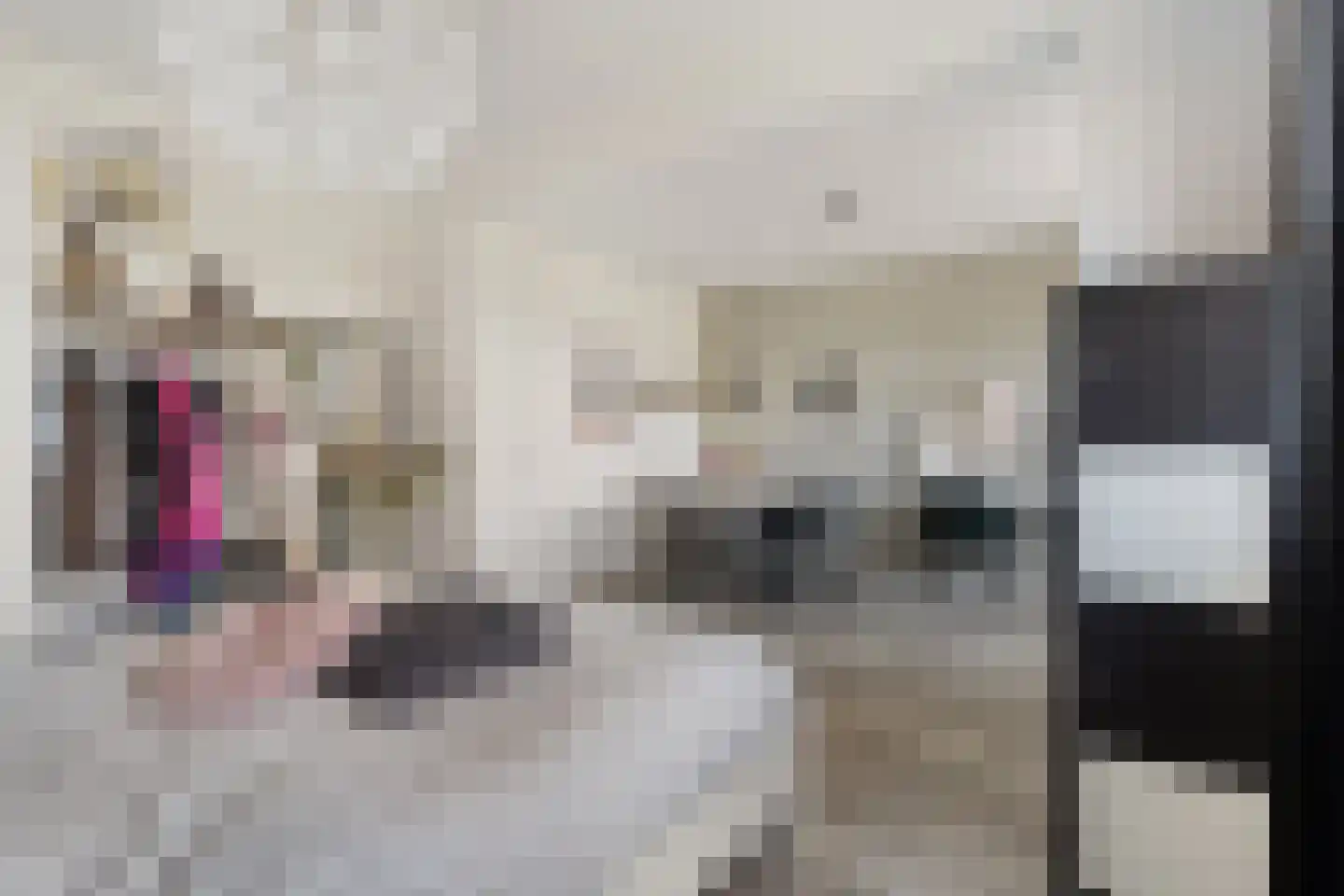 Weenerwerf 28 Dedemsvaart thumbnail 32