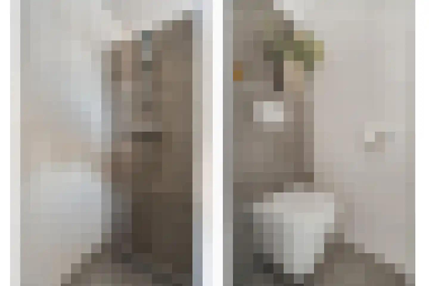 Weenerwerf 28 Dedemsvaart thumbnail 35
