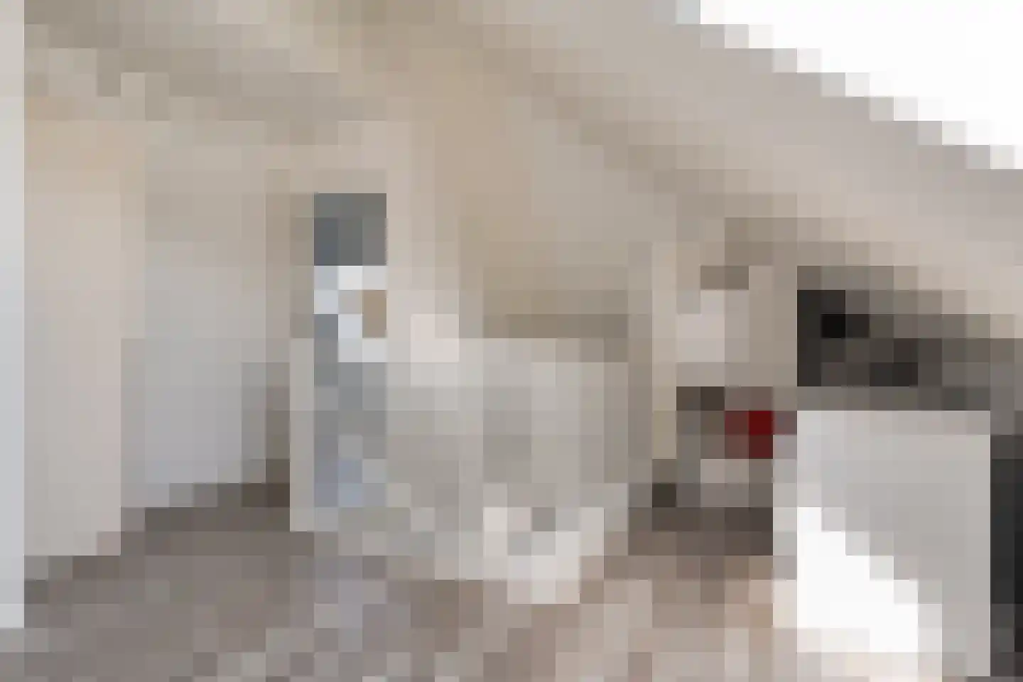 Weenerwerf 28 Dedemsvaart thumbnail 37