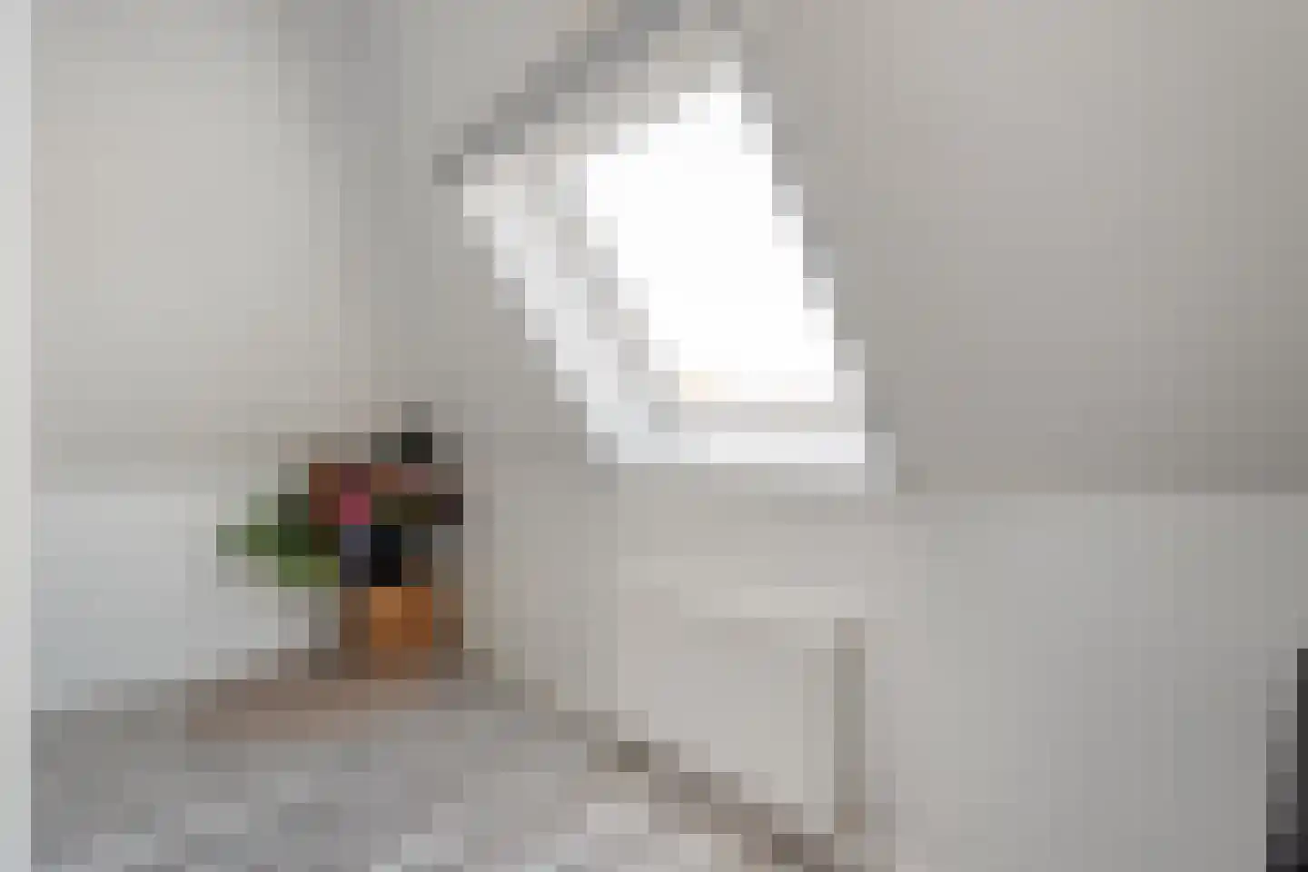 Weenerwerf 28 Dedemsvaart thumbnail 38