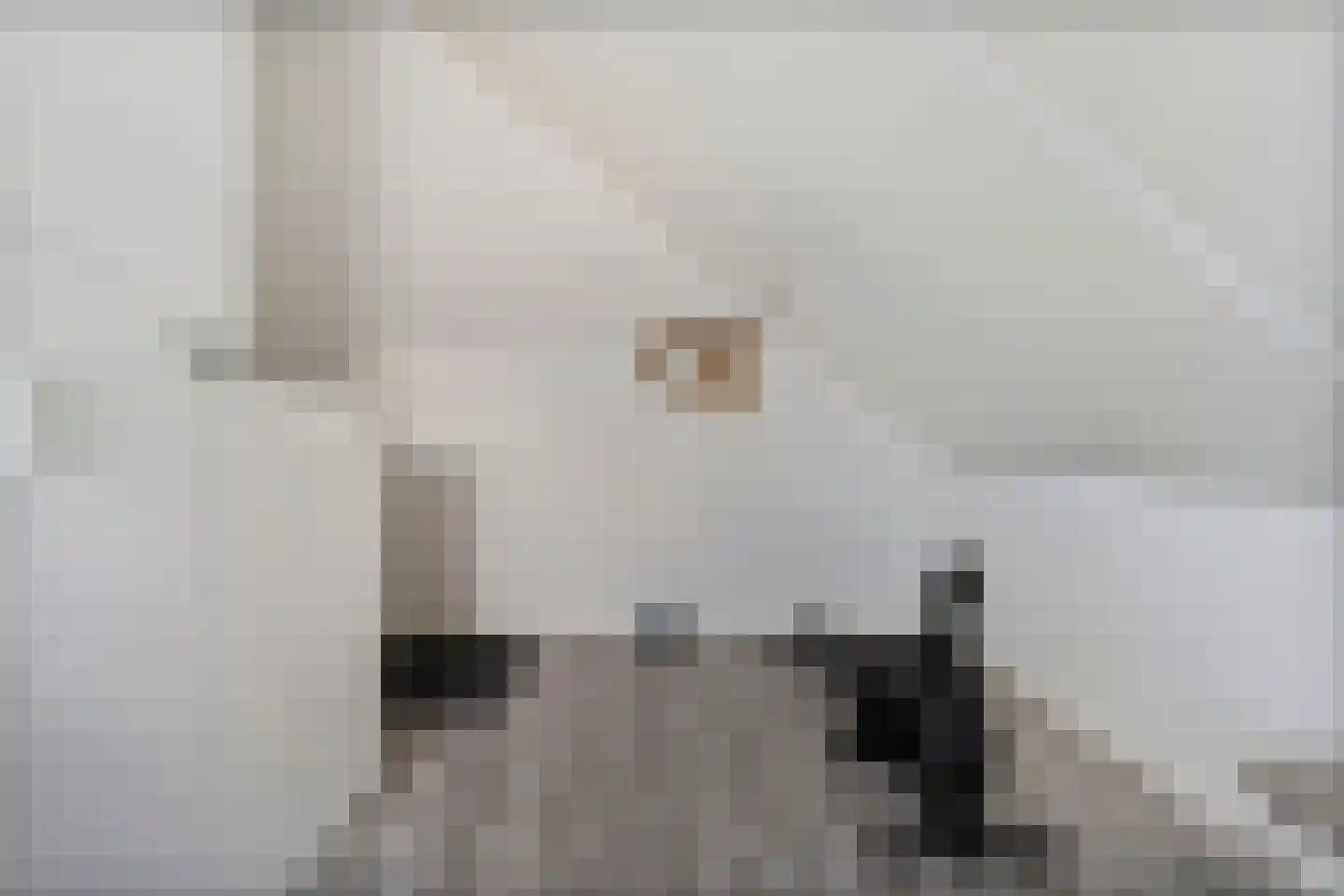 Weenerwerf 28 Dedemsvaart thumbnail 40