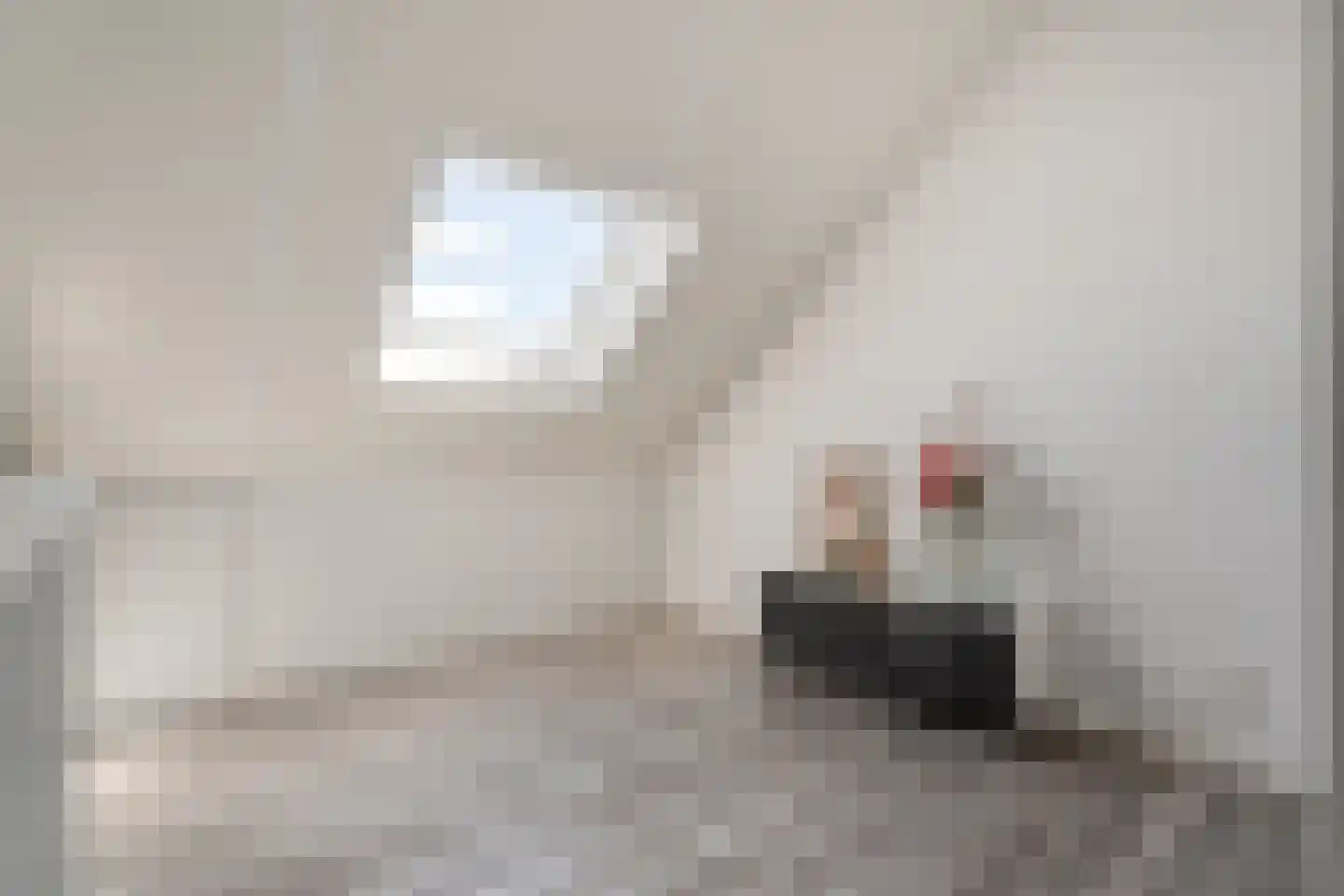 Weenerwerf 28 Dedemsvaart thumbnail 42