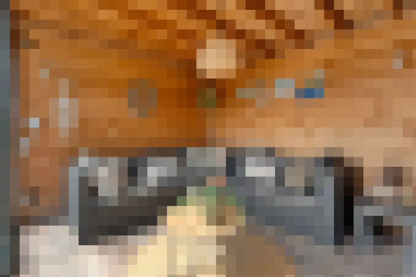 Weenerwerf 28 Dedemsvaart thumbnail 50