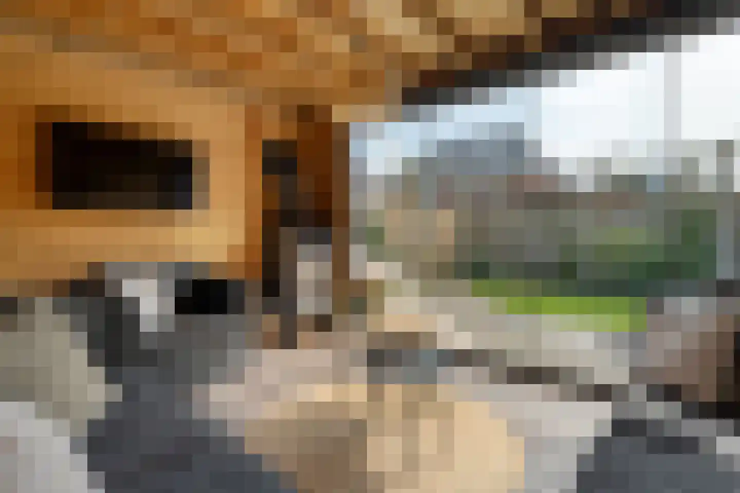 Weenerwerf 28 Dedemsvaart thumbnail 53