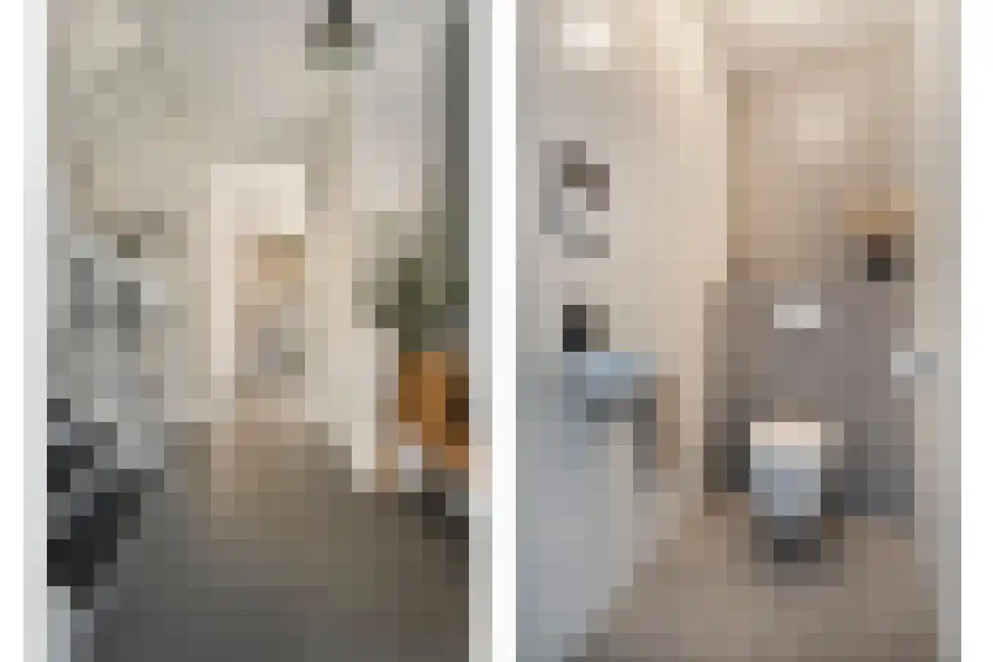 Weenerwerf 28 Dedemsvaart thumbnail 7