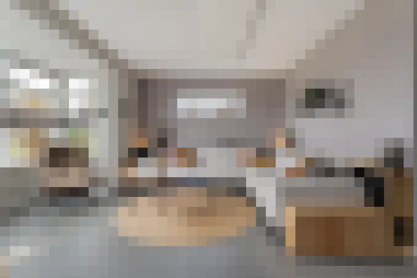 Weenerwerf 28 Dedemsvaart thumbnail 9