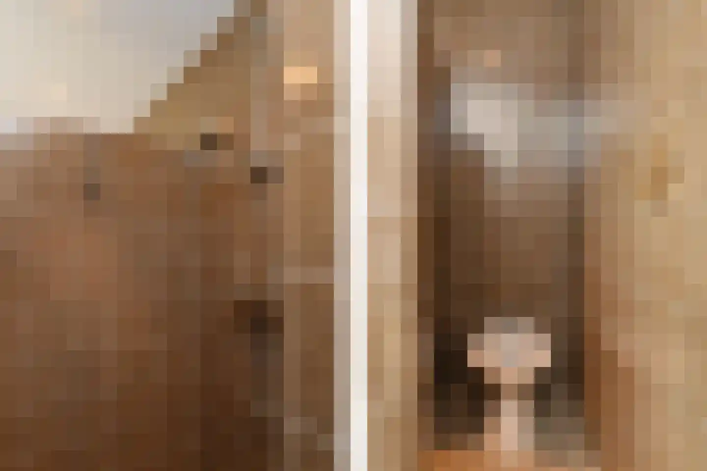Weerd 3 Linne thumbnail 32