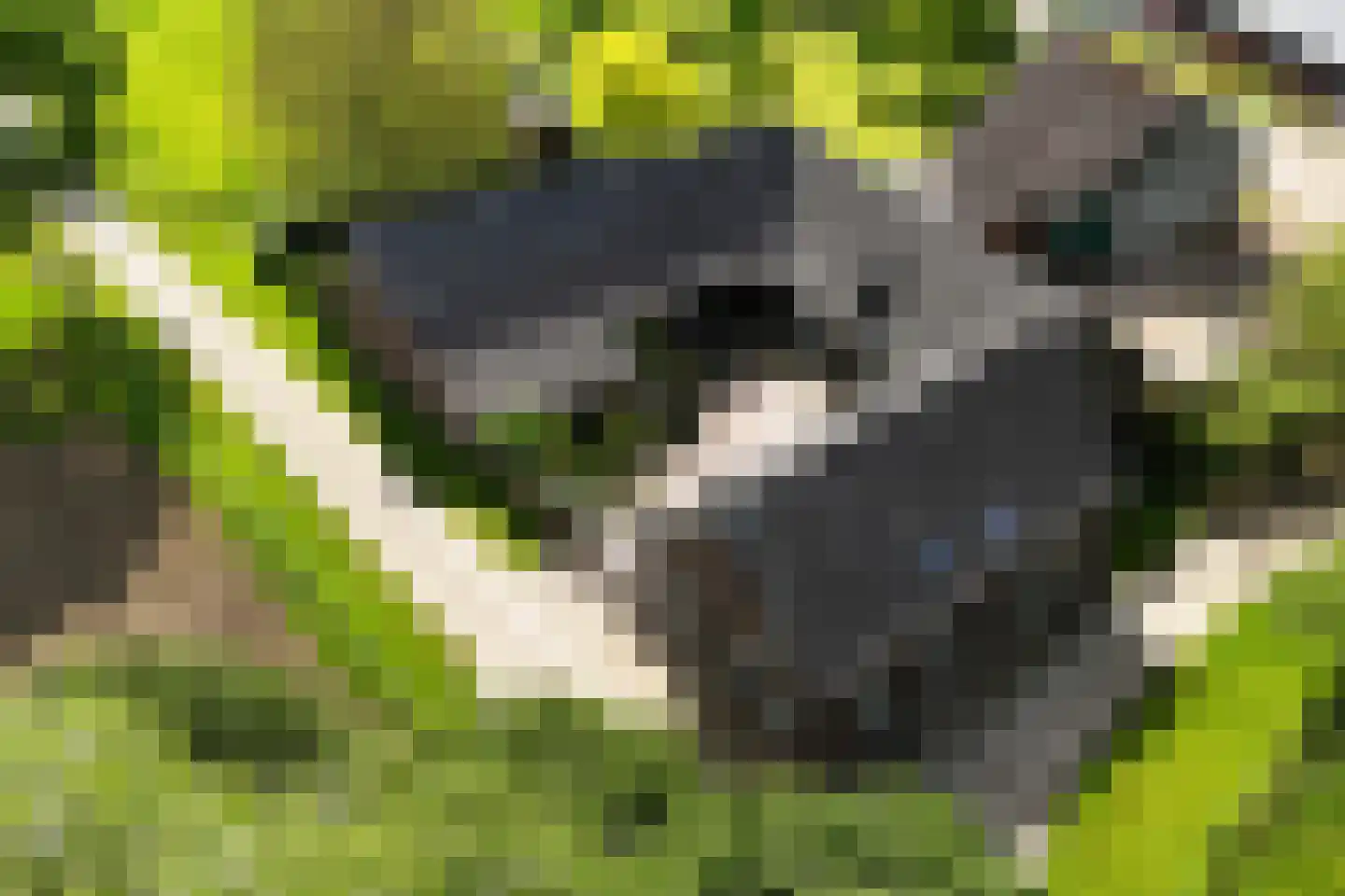 Weerd 3 Linne thumbnail 4