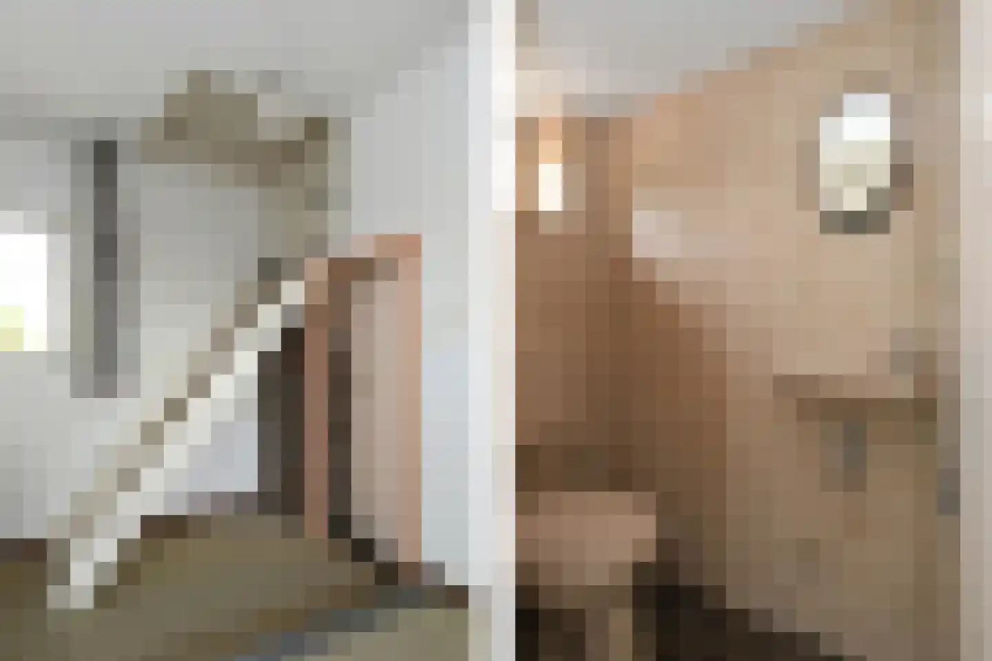 Weerd 3 Linne thumbnail 41