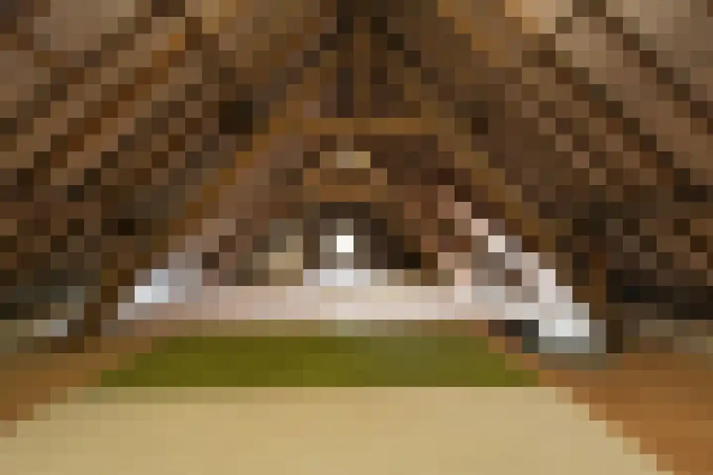 Weerd 3 Linne thumbnail 42