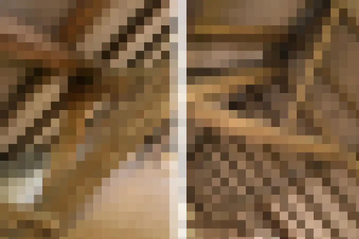 Weerd 3 Linne thumbnail 44