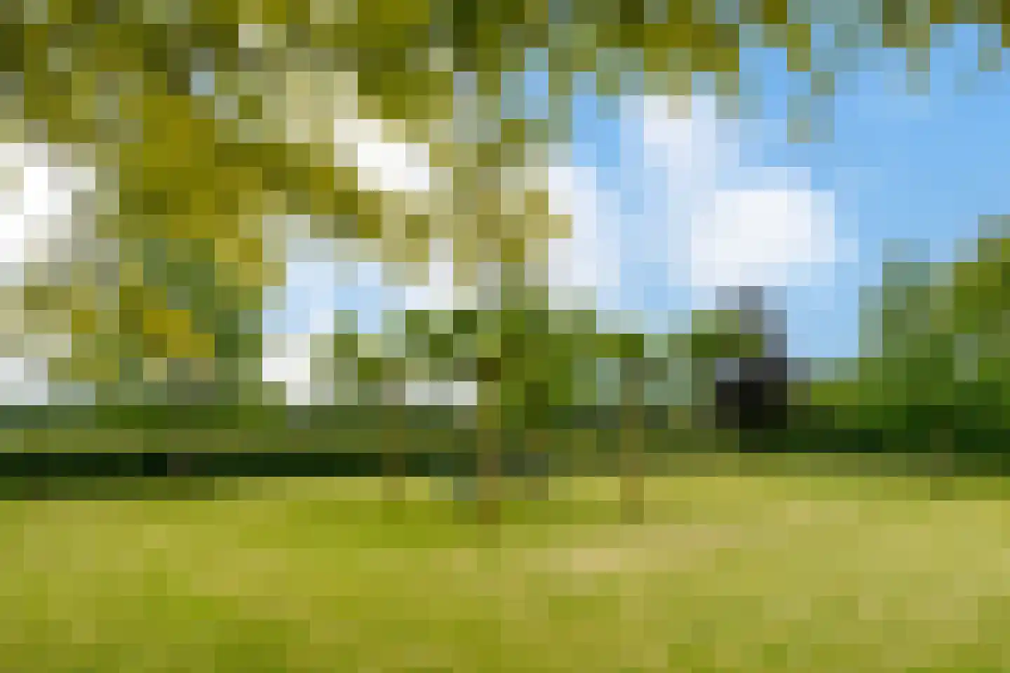 Weerd 3 Linne thumbnail 56