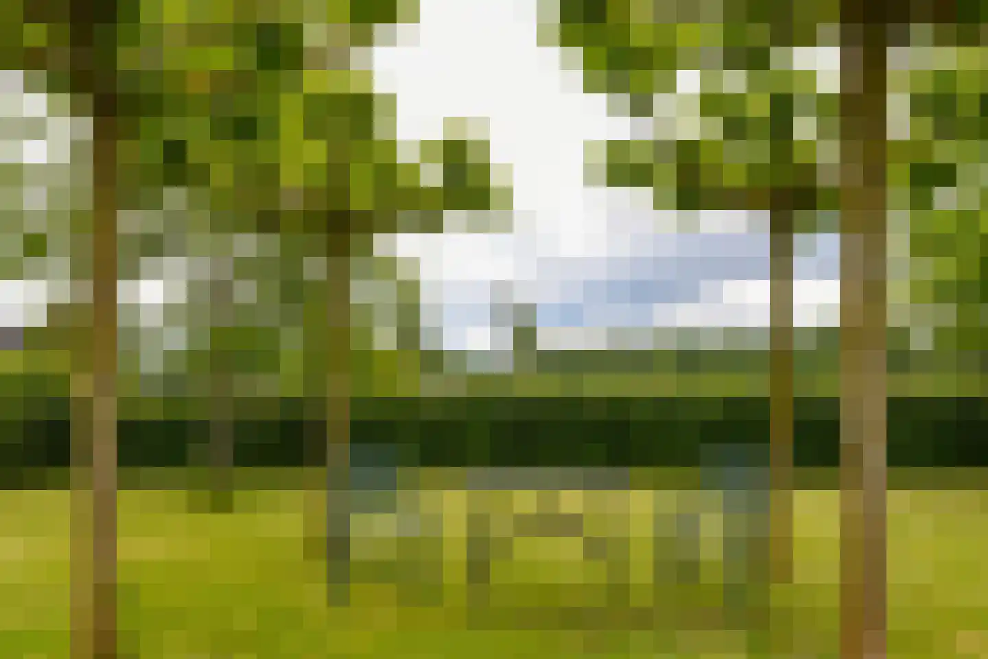 Weerd 3 Linne thumbnail 57