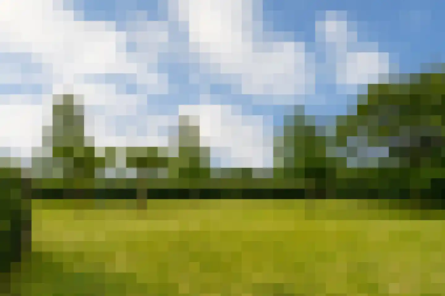 Weerd 3 Linne thumbnail 59