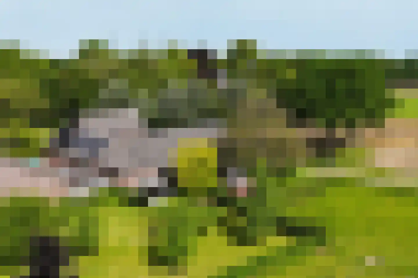 Weerd 3 Linne thumbnail 63