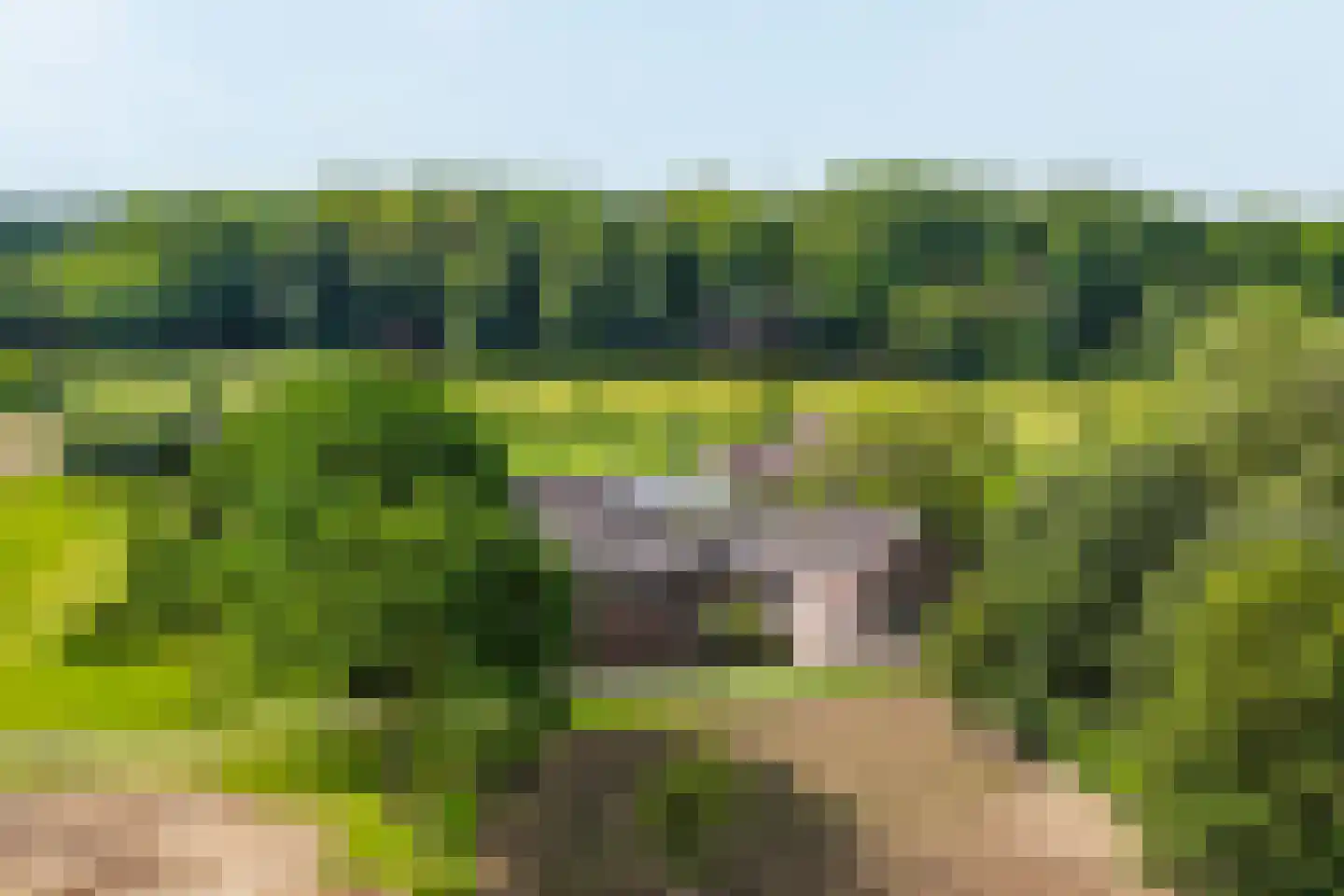 Weerd 3 Linne thumbnail 65