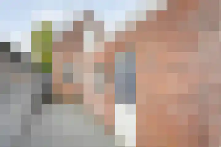 Weerddwarsstraat 23 Meppel thumbnail 28