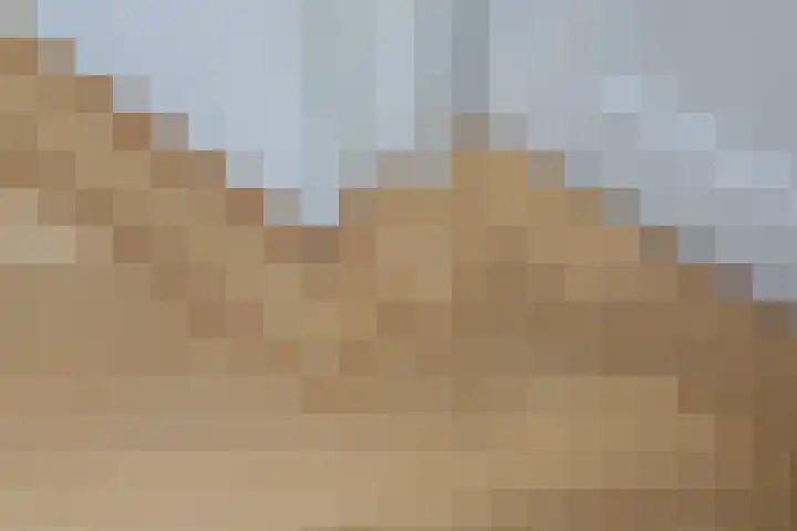 Weerdenborch 8 Waardenburg thumbnail 12