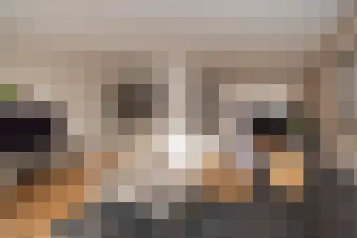 Weerdenborch 8 Waardenburg thumbnail 17
