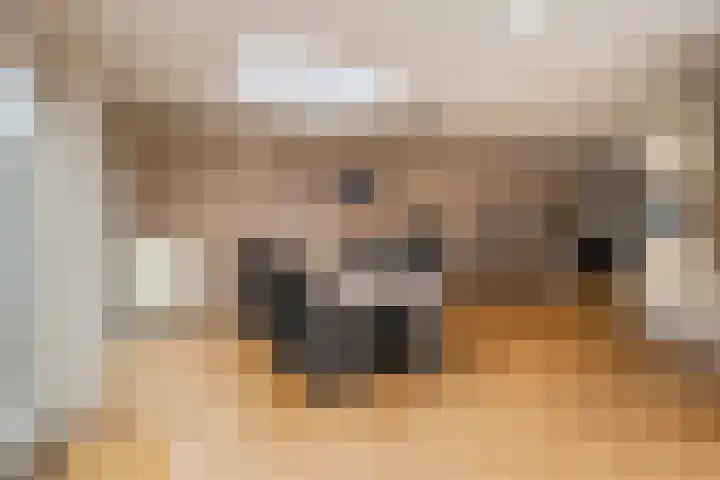 Weerdenborch 8 Waardenburg thumbnail 19