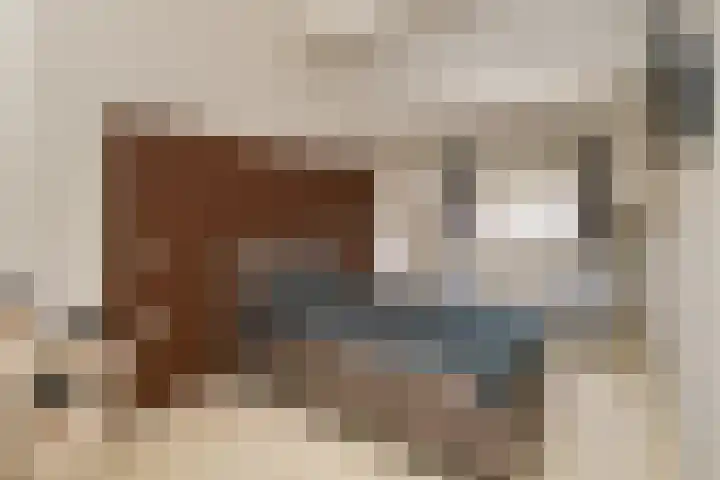Weerdenborch 8 Waardenburg thumbnail 25