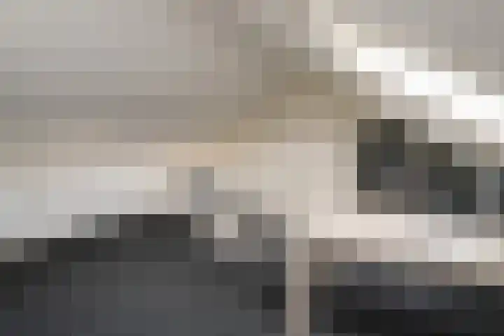 Weerdenborch 8 Waardenburg thumbnail 40