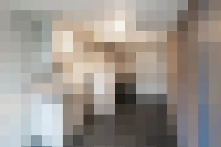 Weerdenborch 8 Waardenburg thumbnail 41