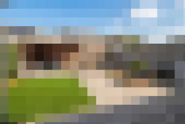 Weerdenborch 8 Waardenburg thumbnail 5