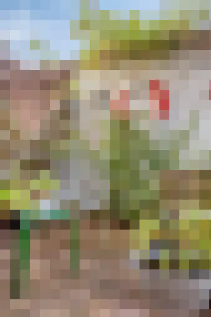 Weerdenburg 35 Hoofddorp thumbnail 20