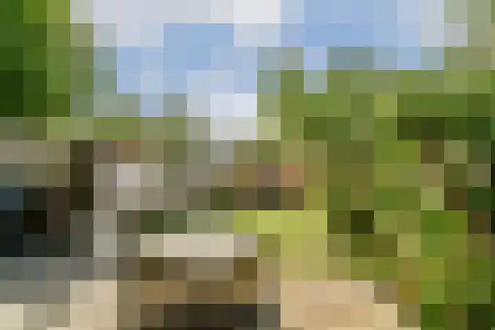 Weerdestein 141 Dordrecht thumbnail 4