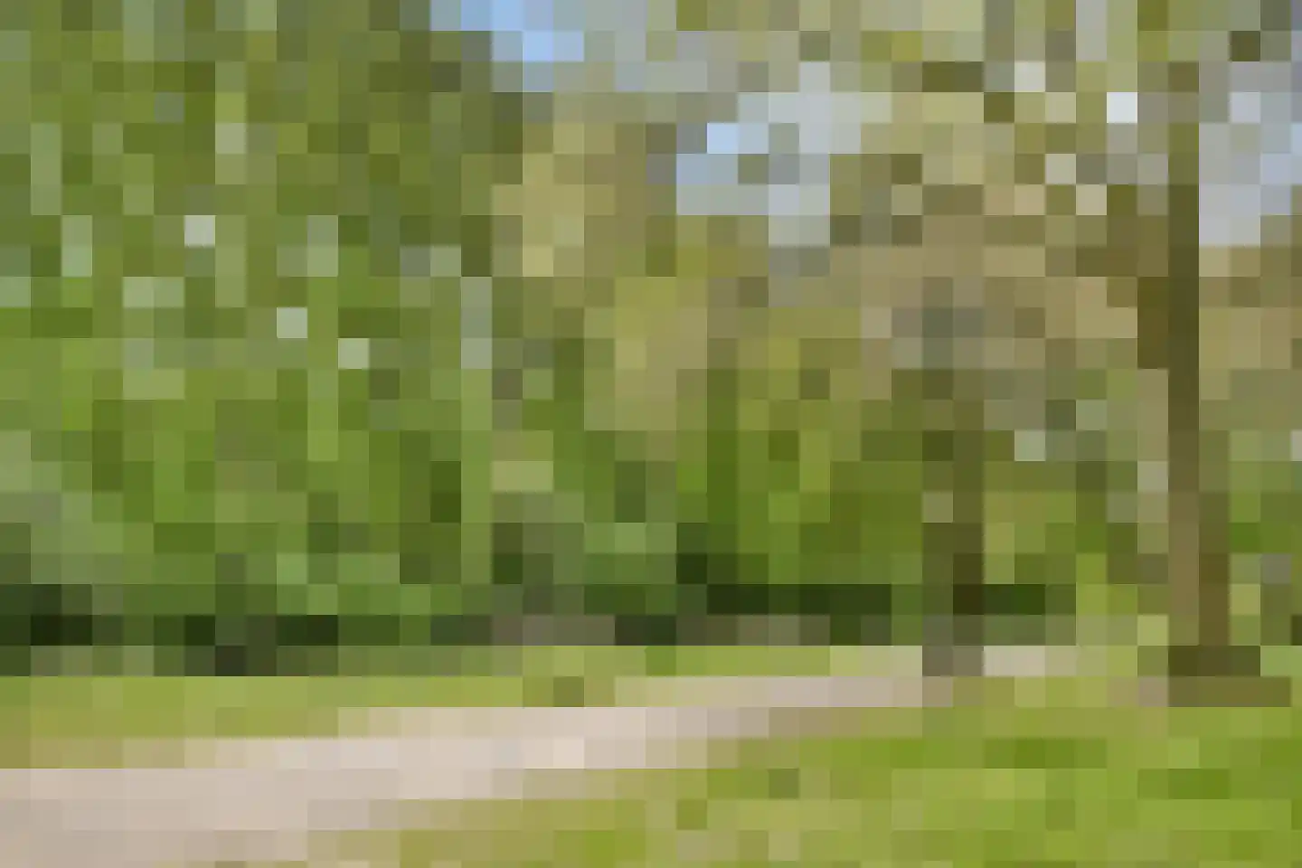 Weerdestein 155 Amsterdam thumbnail 26