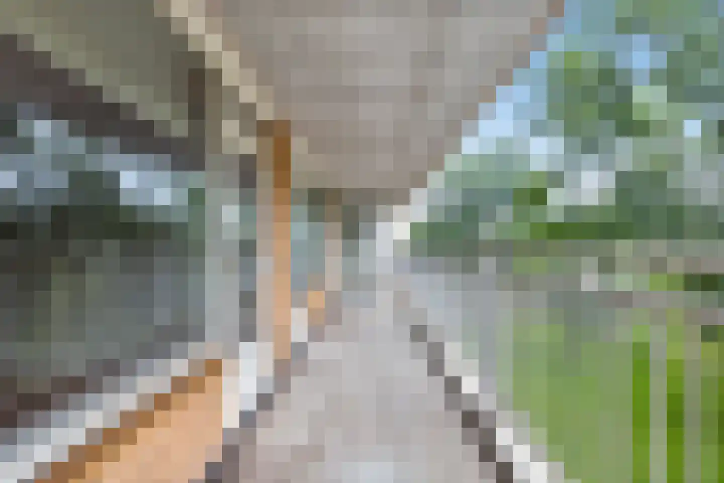 Weerdestein 184 Amsterdam thumbnail 28