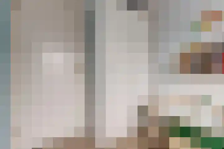 Weerdestein 20 Dordrecht thumbnail 21