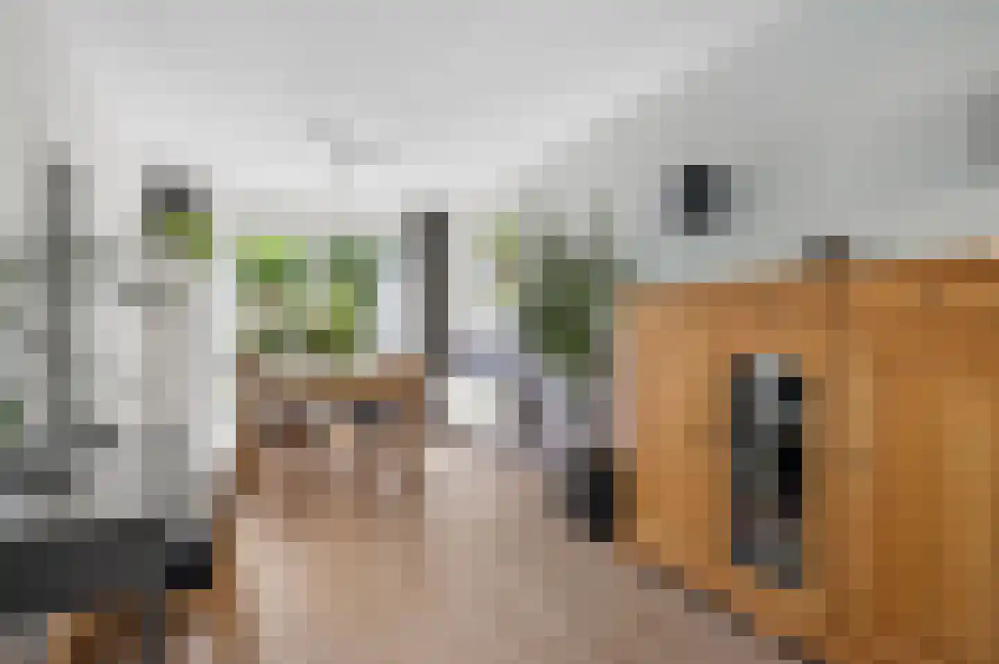 Weerdestein 28 Ede thumbnail 8