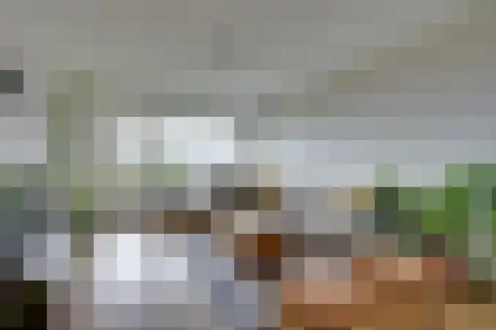 Weerdestein 41 Amsterdam thumbnail 11