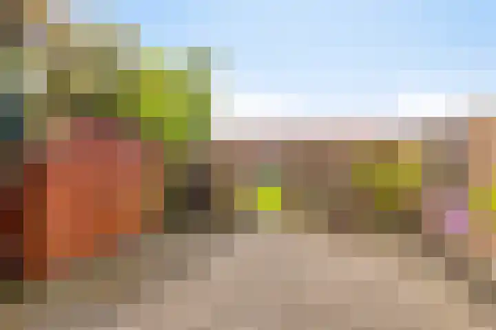 Weerdestein 41 Amsterdam thumbnail 13