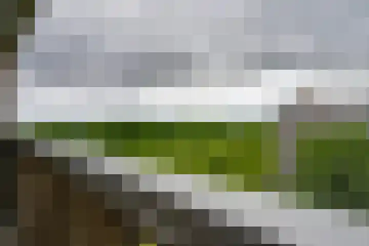 Weerdestein 41 Amsterdam thumbnail 22