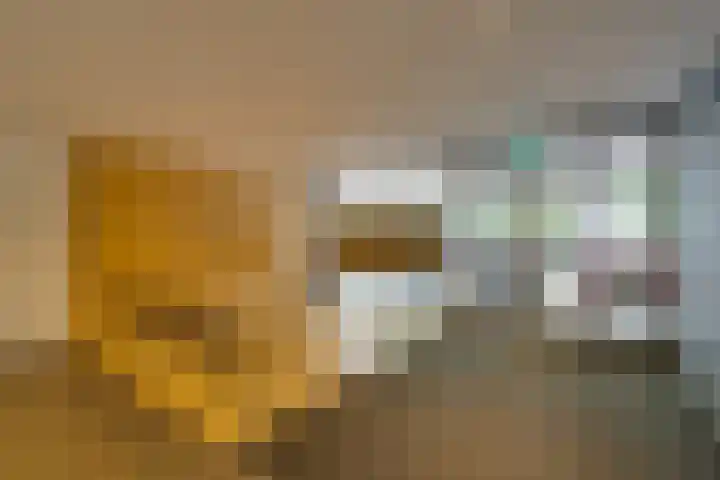 Weerdestein 41 Amsterdam thumbnail 6