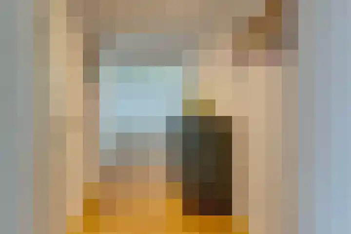Weerdestein 41 Amsterdam thumbnail 8