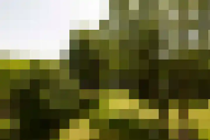 Weerdestein 49 Amsterdam thumbnail 10