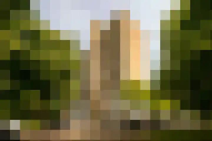 Weerdestein 49 Amsterdam thumbnail 23