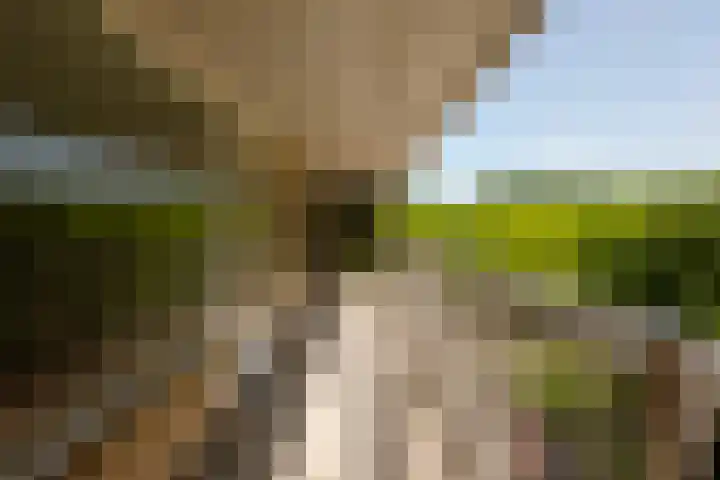 Weerdestein 49 Amsterdam thumbnail 9