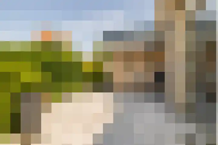 Weerdestein 50 Ede thumbnail 25